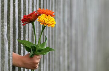 Quando a vida oferece ódio, transforme-se em amor | Os Anjos | Canalizado por Ann Albers