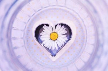 Escolha o amor | Cartas do céu