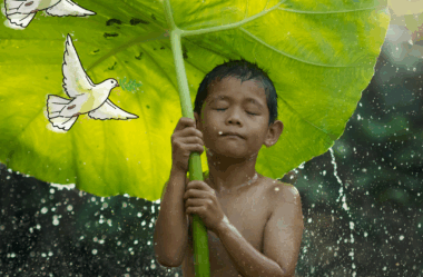 Honrar a Paz | Cartas de Deus