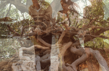 Tesouro da Mãe Terra | Deusa Kuan Yin | Canalizado por Natalie Glasson